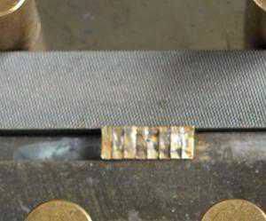 shorthorse13.jpg shorthorse13.jpg