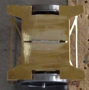 shorthorse20.jpg shorthorse20.jpg