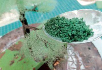 tree15.jpg tree15.jpg