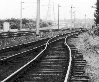 photo_1.1.jpg photo_1.1.jpg