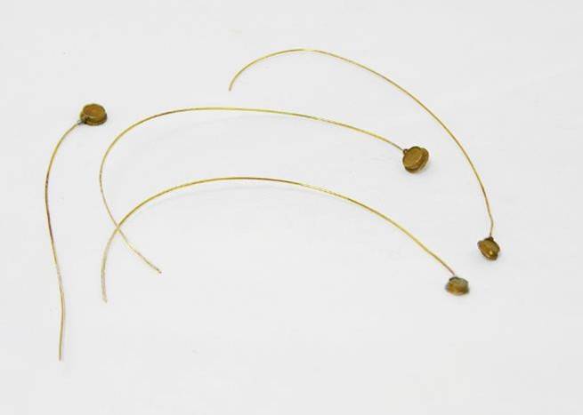 b16picture1_44_.jpg b16picture1_44_.jpg