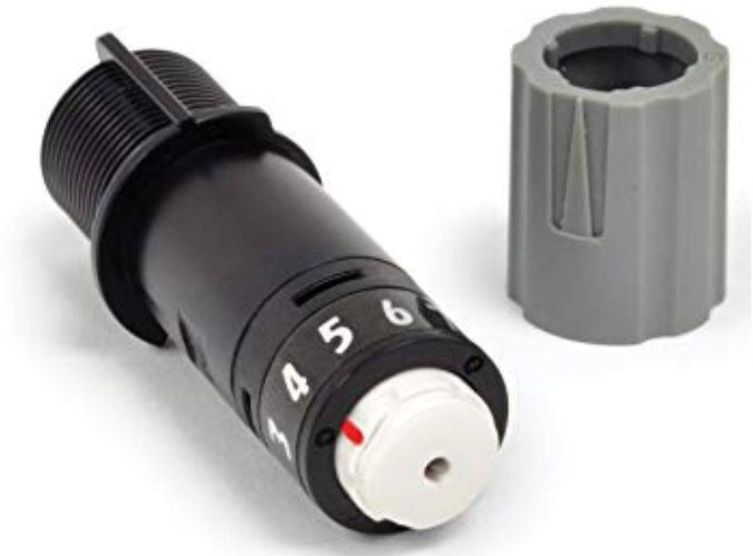 cameo_3.jpg cameo_3.jpg