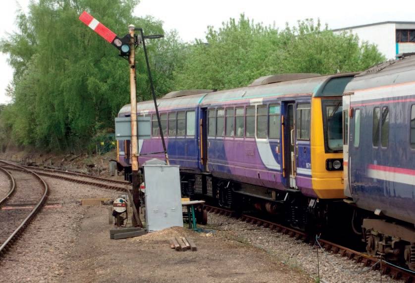 stiff2.jpg stiff2.jpg