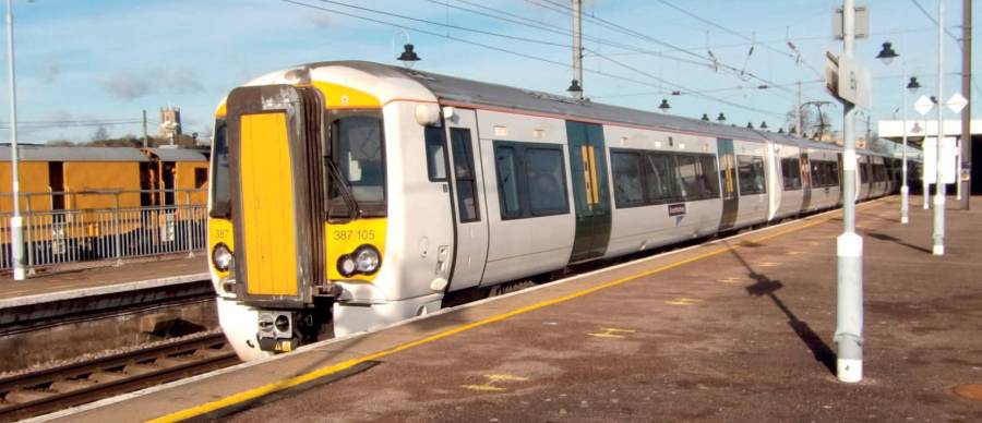 stiff13.jpg stiff13.jpg