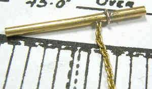 macaw_23_.jpg macaw_23_.jpg