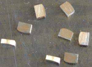 shorthorse12.jpg shorthorse12.jpg