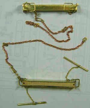 macaw-a_3_.jpg macaw-a_3_.jpg