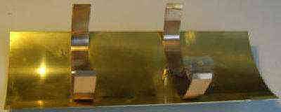 pwtoad_6_.jpg pwtoad_6_.jpg