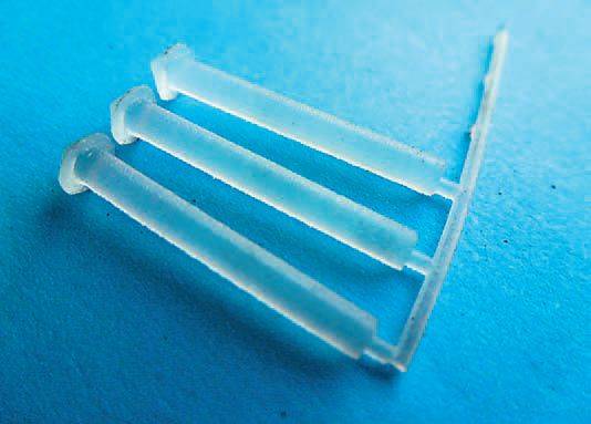 lyme21.jpg lyme21.jpg