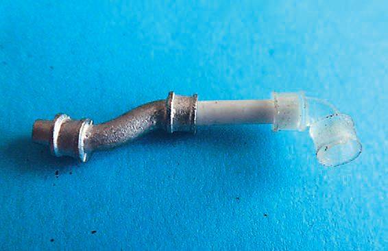 lyme22.jpg lyme22.jpg