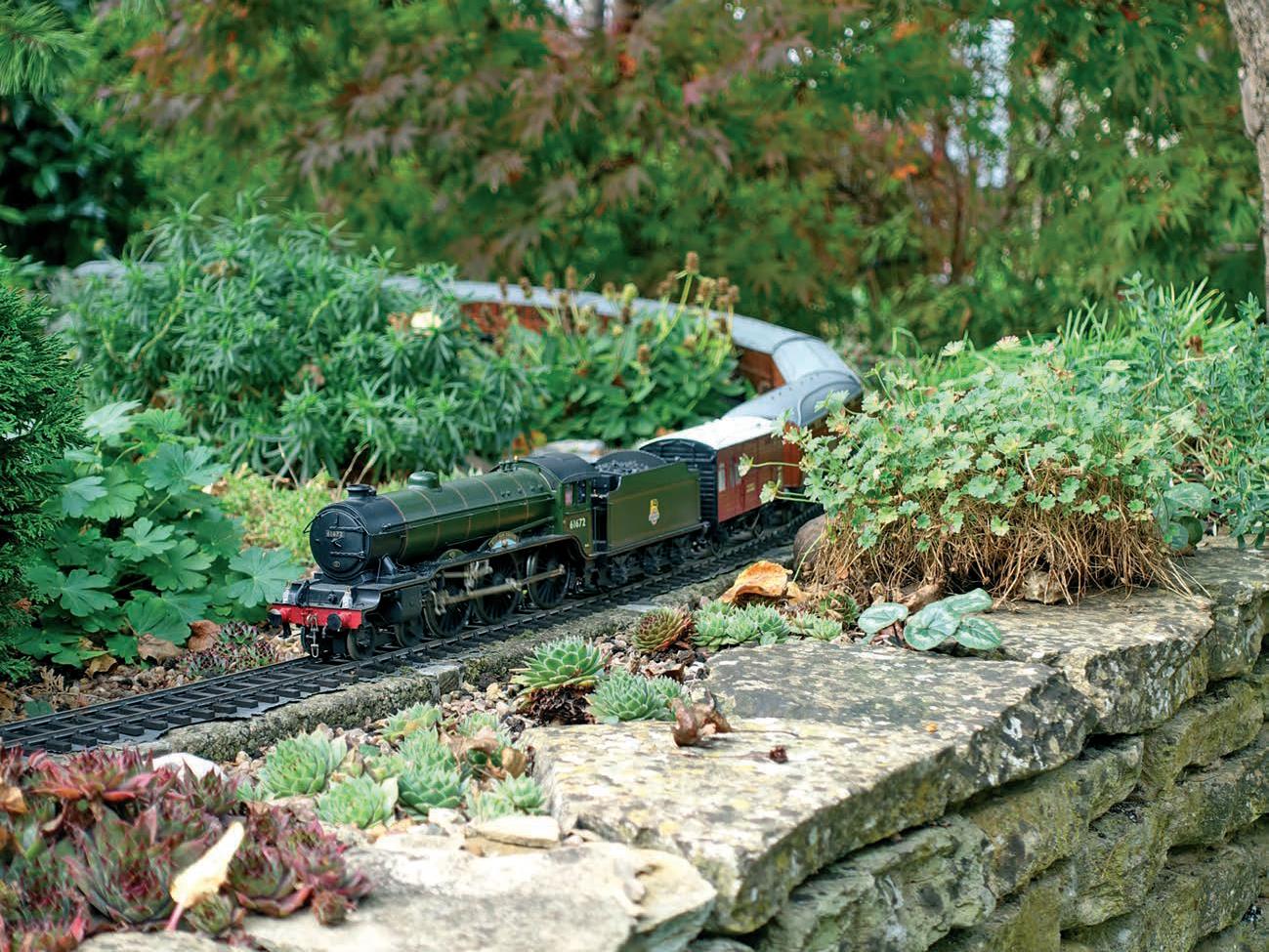 trainedgarden8.jpg