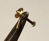 whit3_74_.jpg whit3_74_.jpg