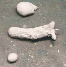 willow10.jpg willow10.jpg