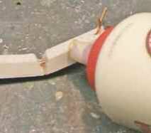 willow4.jpg willow4.jpg