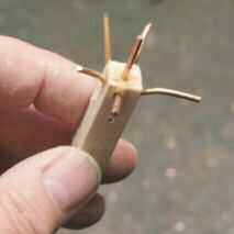 willow3.jpg willow3.jpg