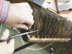 willow2.jpg willow2.jpg