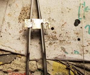 whit4_93_.jpg whit4_93_.jpg