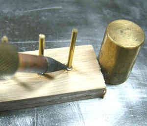 macaw_19_.jpg macaw_19_.jpg