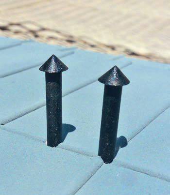 lyme23.jpg lyme23.jpg