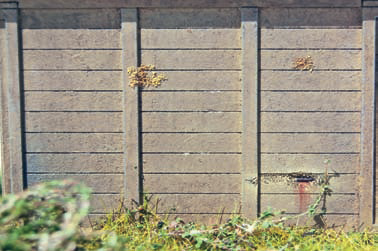 lner_hut_9.png lner_hut_9.png