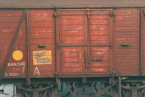 banvan_21.png banvan_21.png