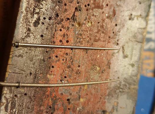 whit2_13_.jpg whit2_13_.jpg