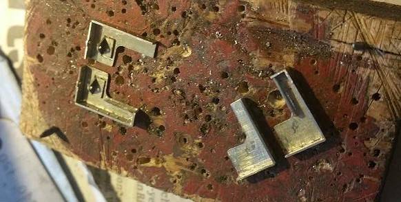 whit1_49_.jpg whit1_49_.jpg