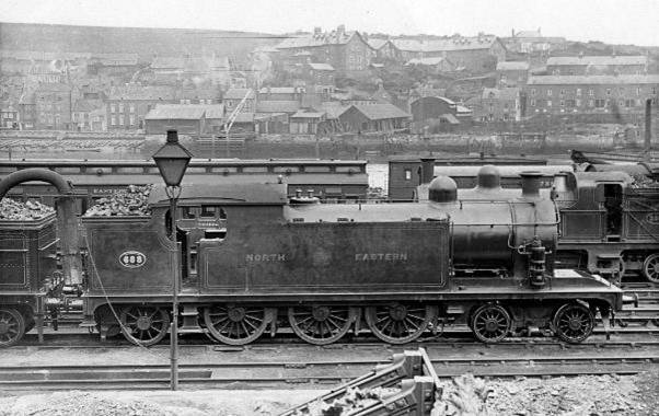 whit1_1_.jpg whit1_1_.jpg