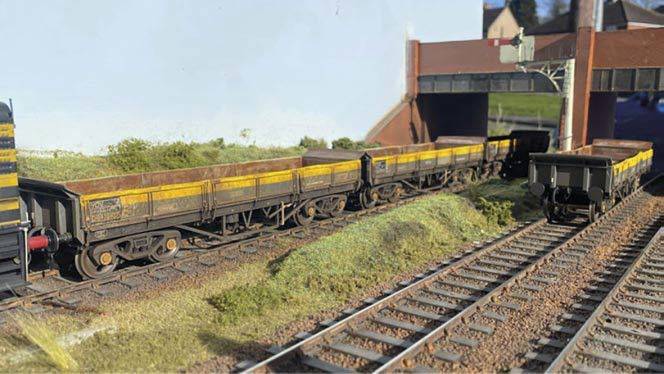 turbot11.jpg turbot11.jpg