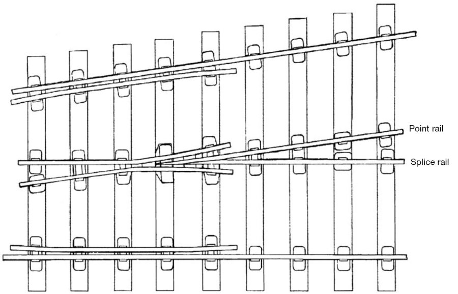 timber_spacing_pregroup.png timber_spacing_pregroup.png