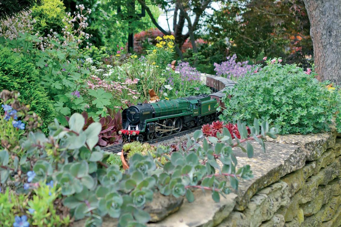 trainedgarden1.jpg