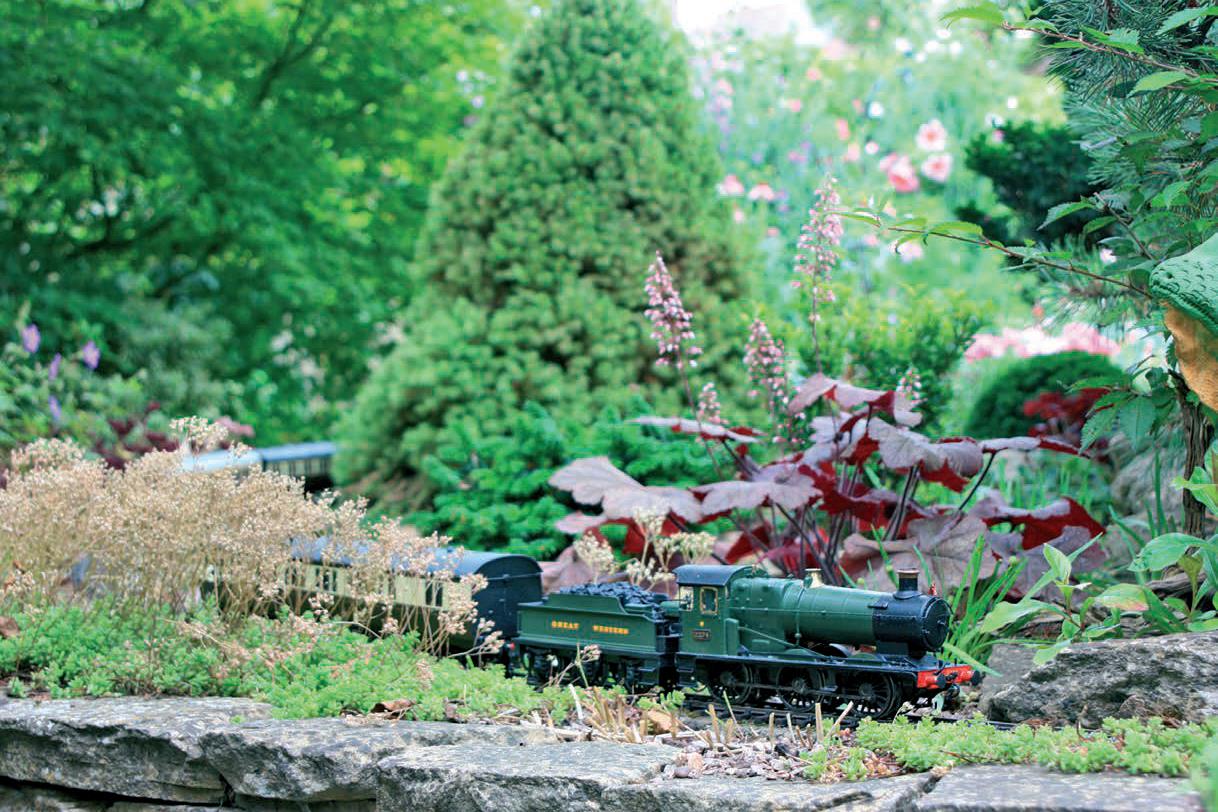 trainedgarden3.jpg