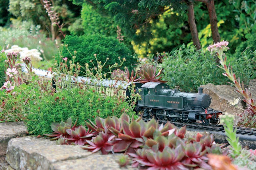 trainedgarden4.jpg